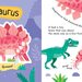 Build and Play Dinosaurs - Build and Play Dinosaurs (Build and Play Kit)6.jpg