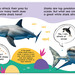 First Facts Sharks - spread-2 (13).jpg