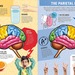 Inside Out Human Brain - O (52).jpg