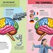 Inside Out Human Brain - O (54).jpg