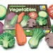 Sensory Play Stones Vegetables  - 1135-5.jpg