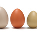 Size-Sorting Eggs - YD1088-2.jpg