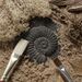 Let´s investigate - Fossils  - YD1041-6.jpg