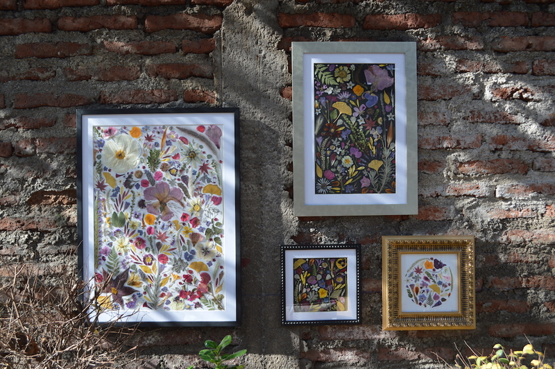 1._Cuadros_de_flores_prensadas_Fernanda_Correa_La_Grulla