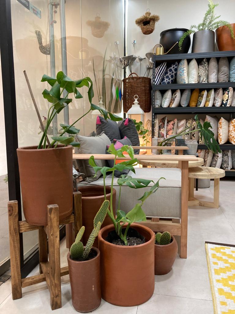 muebles_a_medida_cojines_a_medida_maceteros_de_cemento_de_greda_plantas_tierra_mulch_en_vitacura3.jpeg