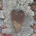 Corazones de madera - adorno para la pared corazon de madera reciclada decoracion café alargado 1.JPG.jpg