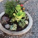 Plato de concreto de 60 cm de diámetro - platos de cemento hormigon rustico concreto de 60 cm de diametro con variedad de plantas 1.JPG