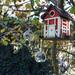 Colgante de vidrio  - 