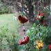 Colgante de elefantes y corazones - 