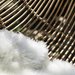 Silla colgante Loica - 