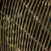 Silla colgante Loica - 