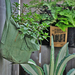 Maceta Eco BAG con Asas - 4.jpg