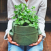 Maceta Eco BAG con Asas - 1.Macetero una planta mediano.jpg