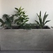 Jardinera de cemento de 100 x 40 - jardinera de cemento grande plantas para web.jpg