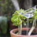 Figura de vidrio autorregante - Terraza Chic 32 B.jpg