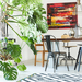 Macetas con plantas y plantas de interior  - plantas de interior tamaño ok.jpg