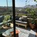 Terraza con sofá de 3 cuerpos y banca movible + sector de plantas - Terraza linda.jpg