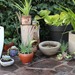 Maceteros de greda con plantas - te (90 de 113).jpg