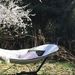 Hamaca Cobana  - Hammock Sand.jpeg