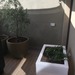 Jardinera iluminada Kika - jardinera de plastico que se ilumina modelo kika de 80x50x46 cm de altura con ficus rapens.jpg