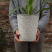 Macetero con patrón blanco modelo Laurel - macetero blanco piramidal para mesa tipo ceramica .jpg