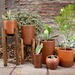 Maceteros de greda con plantas - maceteros de greda portada.jpg