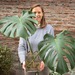 Florero de vidrio con planta y raíces a la vista - monstera en agua y vidrio.jpg