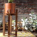 Maceteros de greda con plantas - Macetero de greda de 23x23 cm con cactus.jpg