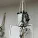 Set de colgante de macramé + macetero + planta - Colgante de macrame con macetero grande.png