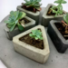 Triángulos decorativos de cemento - adorno con forma de triangulo de cemento pulido con relleno (planta, vela, piedras) a eleccion 2.png