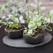 Centro de mesa de plato de piedra pizarra y maceteros de cerámica de gres con suculentas - centro de mesa de plato de piedra pizarra y macetas pequeñas de ceramica de gres con suculentas2.jpg