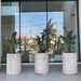 Maceteros de cemento cilíndricos de diferentes tamaños - macetero tubo o cilindrico de hormigon o cemento grande en entrada de edificio con planta flor del pajaro.jpg