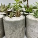 Macetero cilíndrico pequeño de hormigón con planta - macetero chico ciíndrico de hormigón pulido especial para cactus y suculentas1.jpeg