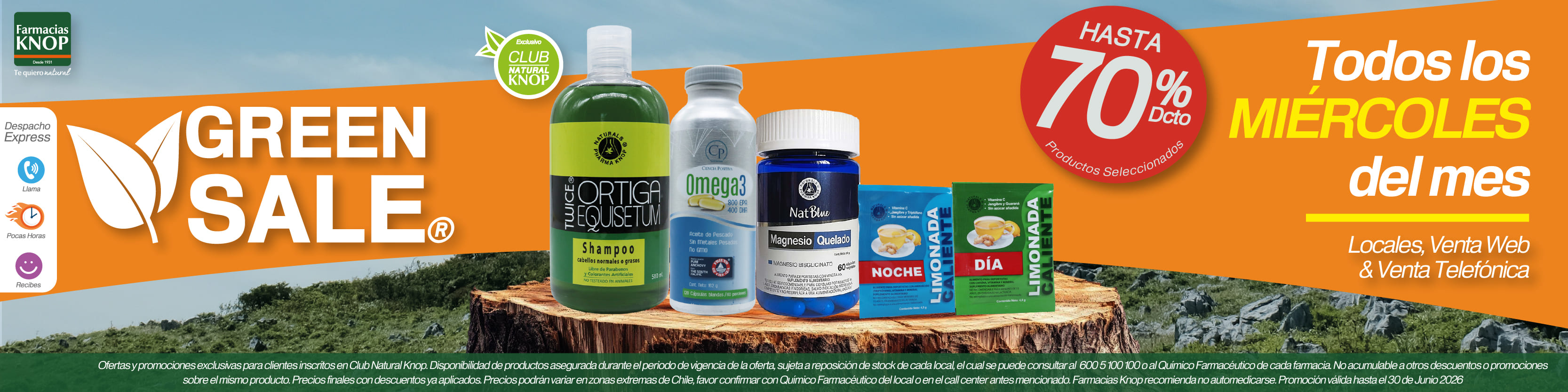 green_sale_JUNIO_banner_web.jpg