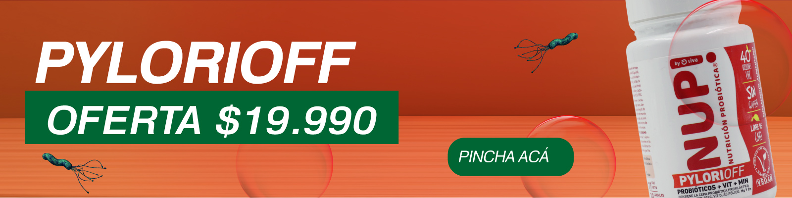 banner_pylorioff_pc_julio.jpg