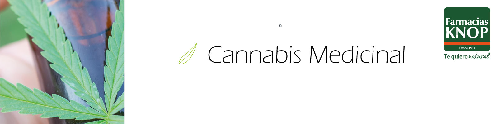 BANNER-cannabis-web.jpg