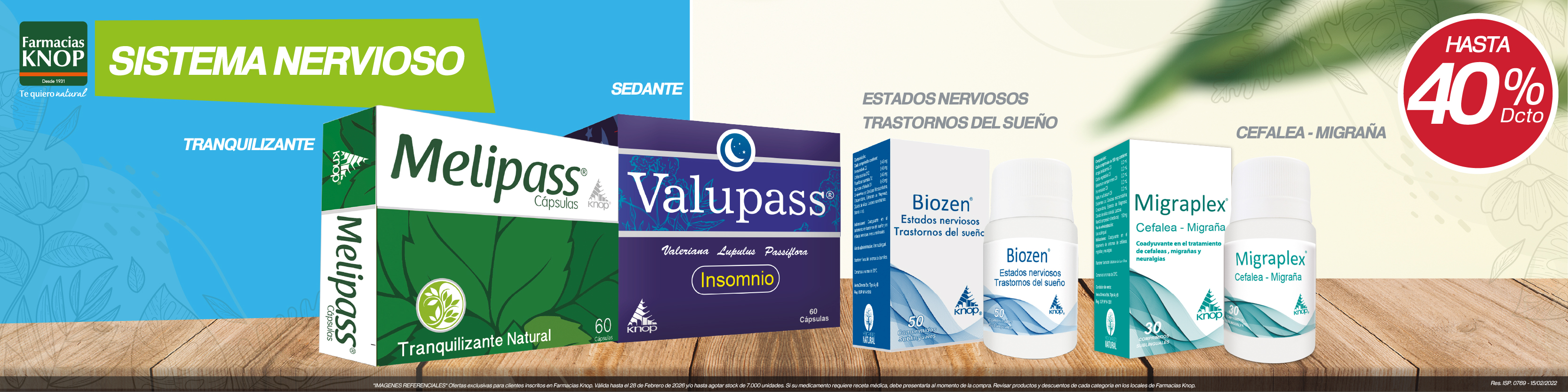 sistema_nervioso_01.jpg