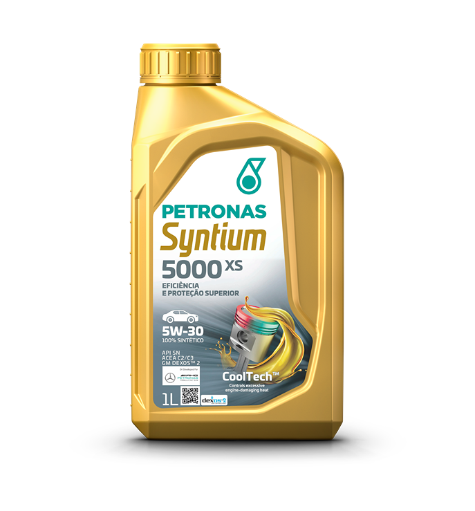  - Syntium 5000 XS (DX) 5w30 (1 bidon de 1 lt)