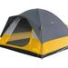 carpa amarilla - 6402592c09c1b331912684.jpg