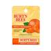 Bálsamo labial mandarina blister 4.25 g - Burt's Bees® - Bálsamo labial mandarina blister 4.25 g - Burt's Bees®