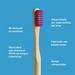 Cepillo de Dental Biodegradable Morado BIOBRUSH 1 un - Biobrush-2-morado.jpg