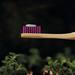 Cepillo de Dental Biodegradable Morado BIOBRUSH 1 un - Biobrush-4-morado.jpg