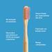 Cepillo de Dental Biodegradable Rosado BIOBRUSH 1 un - Biobrush-2-rosado.jpg