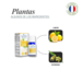 Difusor de aromaterapia Eco-Yoga 1 un + Aceite esencial de regalo, Naturel - 2789658762154 (3).png