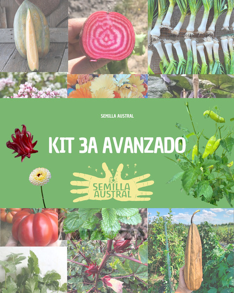 KIT 3A AVANZADO - KIT 3A AVANZADO FINAL.png.jpg