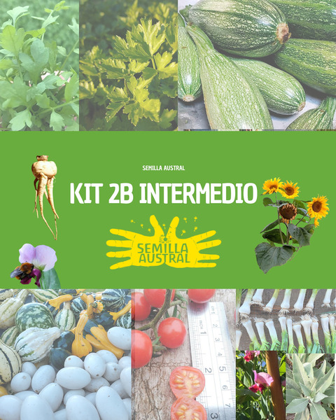 KIT 2B INTERMEDIO - KIT 2B INTERMEDIO FINAL.png.jpg