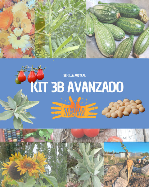 KIT 3B AVANZADO - kir 3b avanzado.png.jpg