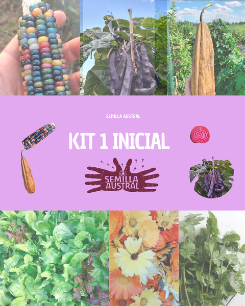 KIT 1 INICIAL - kit 1 inicial final 2.png.jpg