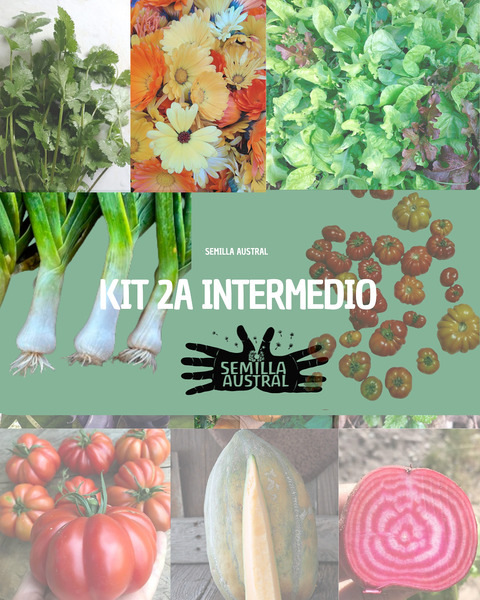 KIT 2A INTERMEDIO - kit 2a intermeio final 2.png.jpg
