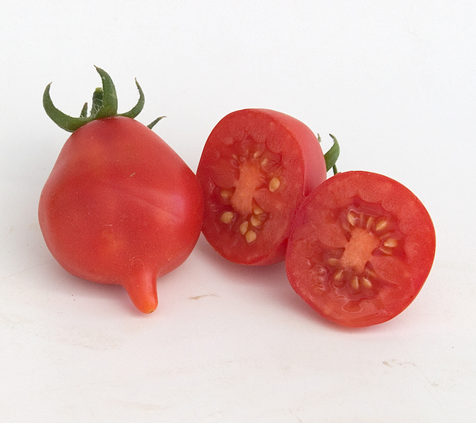 Tomate Piennolo del Vesubio Rojo - Vesuvio-rojo.jpg